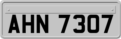 AHN7307