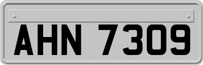 AHN7309