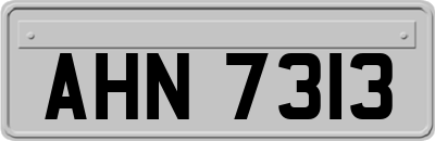 AHN7313