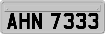 AHN7333
