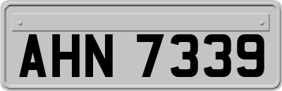 AHN7339