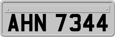 AHN7344