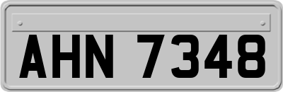 AHN7348