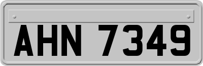 AHN7349