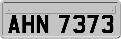 AHN7373