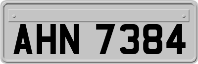 AHN7384
