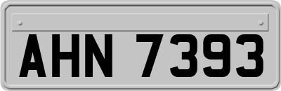 AHN7393