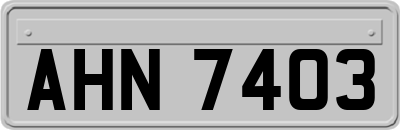AHN7403