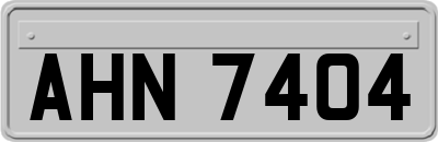 AHN7404