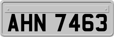 AHN7463