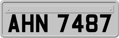 AHN7487