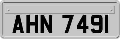 AHN7491