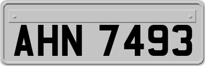 AHN7493