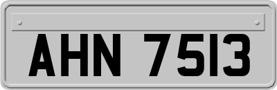 AHN7513