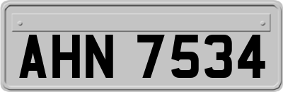 AHN7534