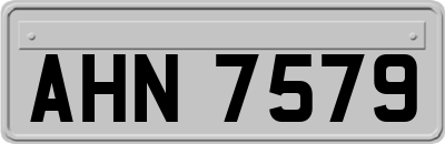 AHN7579