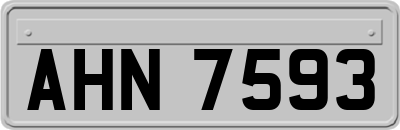 AHN7593