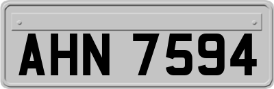 AHN7594