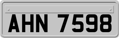 AHN7598