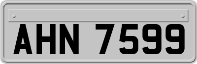 AHN7599