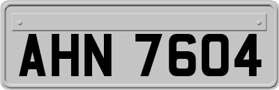 AHN7604