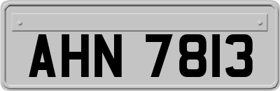 AHN7813