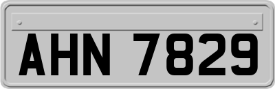 AHN7829
