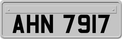 AHN7917