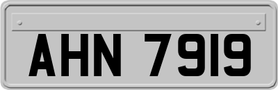 AHN7919