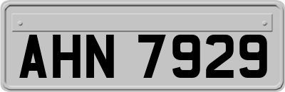 AHN7929