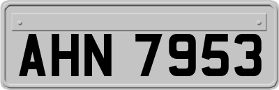 AHN7953