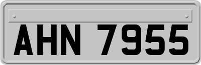 AHN7955