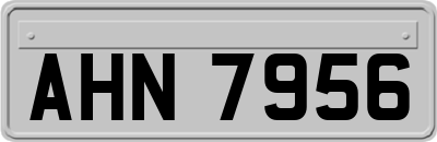 AHN7956