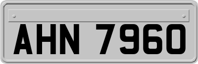 AHN7960