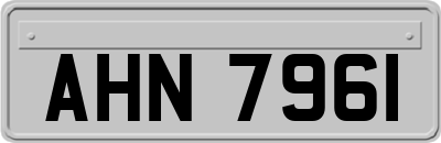 AHN7961