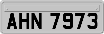 AHN7973