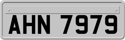 AHN7979