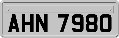 AHN7980