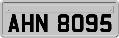 AHN8095