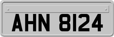AHN8124