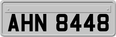 AHN8448