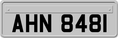 AHN8481