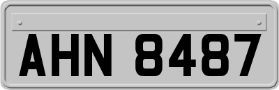 AHN8487