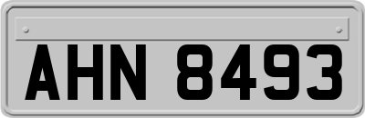 AHN8493