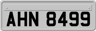 AHN8499