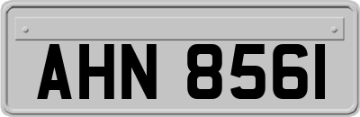 AHN8561
