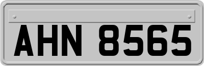 AHN8565