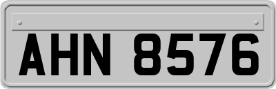 AHN8576