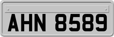 AHN8589