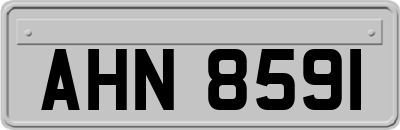 AHN8591